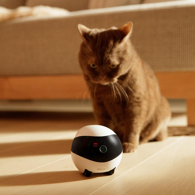 Enabot Ebo SE Smart Companion Pet and Home Security Robot